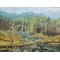 Madawaska River by Roy Forster